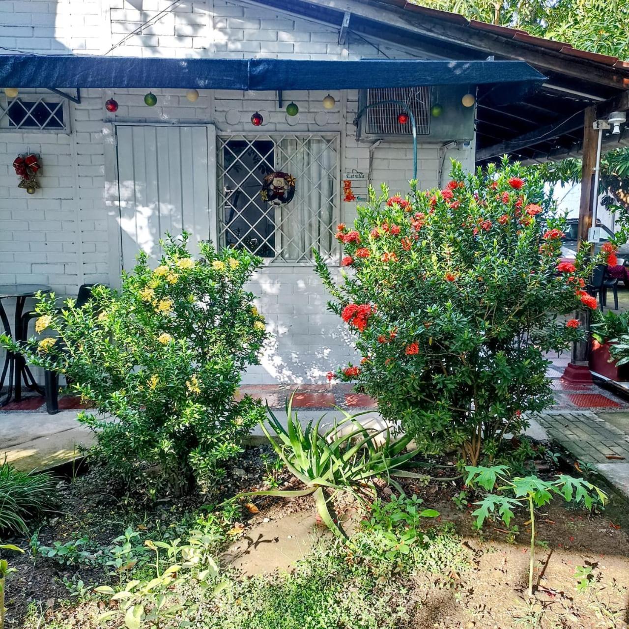 Hostal Corales Толу Екстер'єр фото