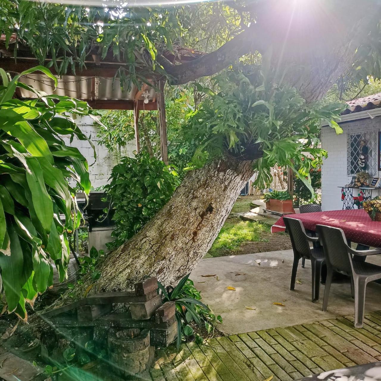 Hostal Corales Толу Екстер'єр фото